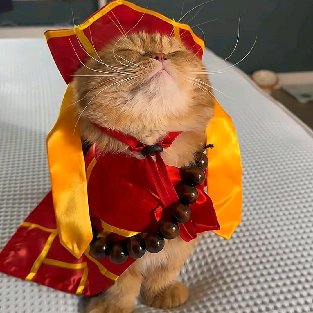 （万事皆空）阿木木