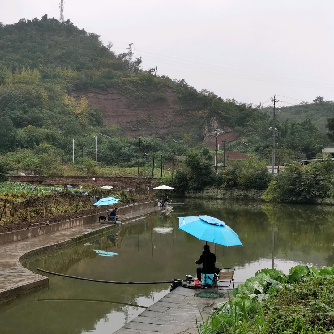 重庆素心村钓场