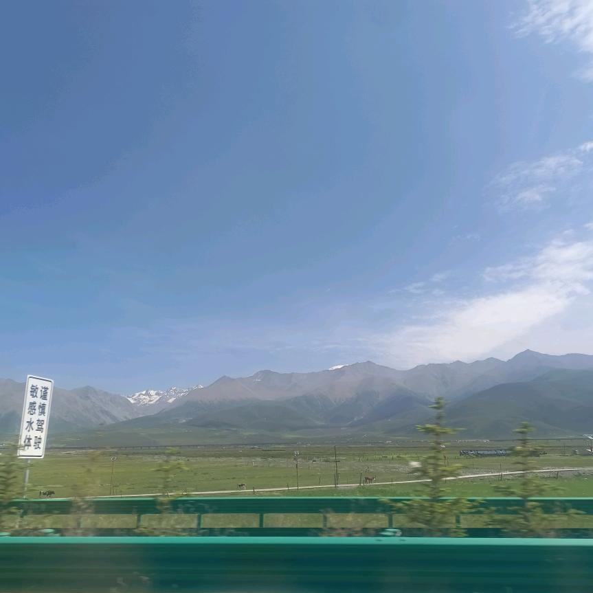 悠悠见南山