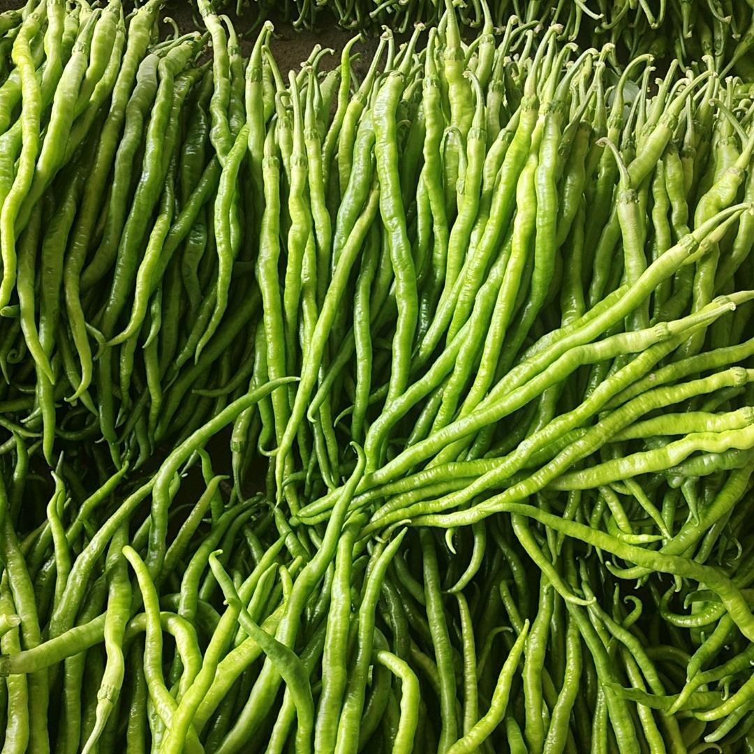 刘龙水果蔬菜代收代销