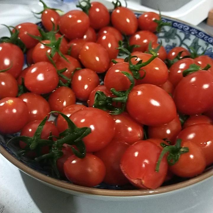 封丘县红松家庭农场