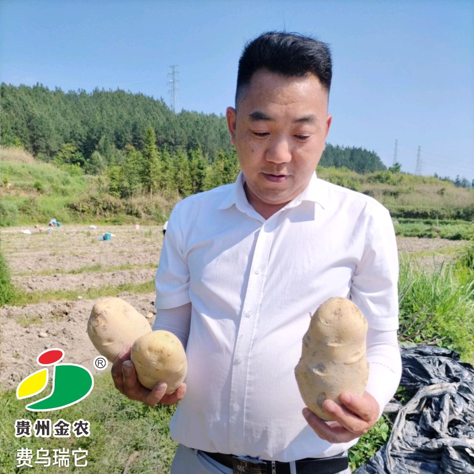 搞农业的严圣（金农）