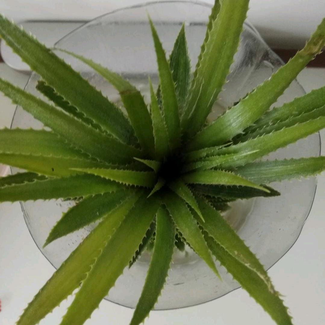 不悲不抗自带锋芒