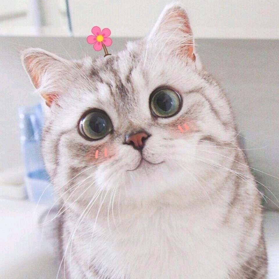 闲人