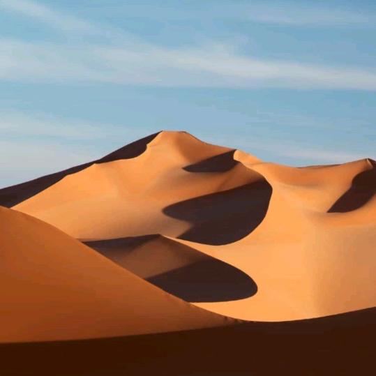 免开尊口，只是路过