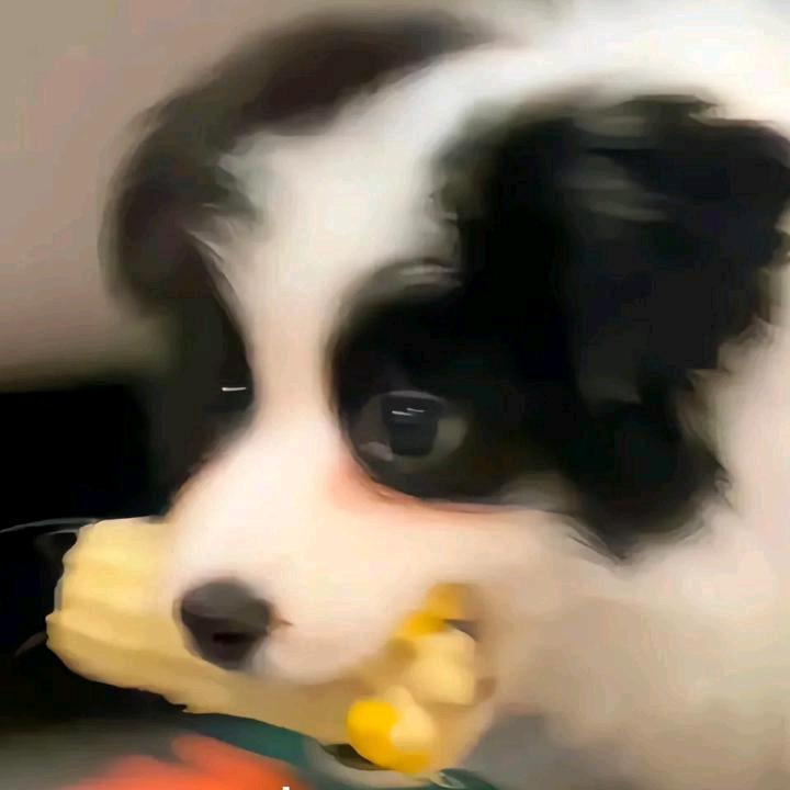 墨璃