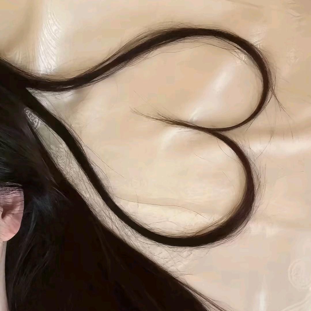 芙芙是一只小猫