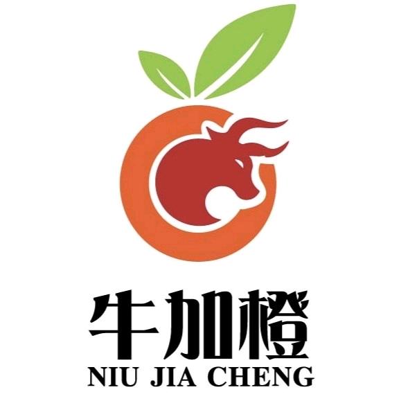 牛加橙
