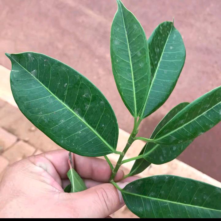 领悟