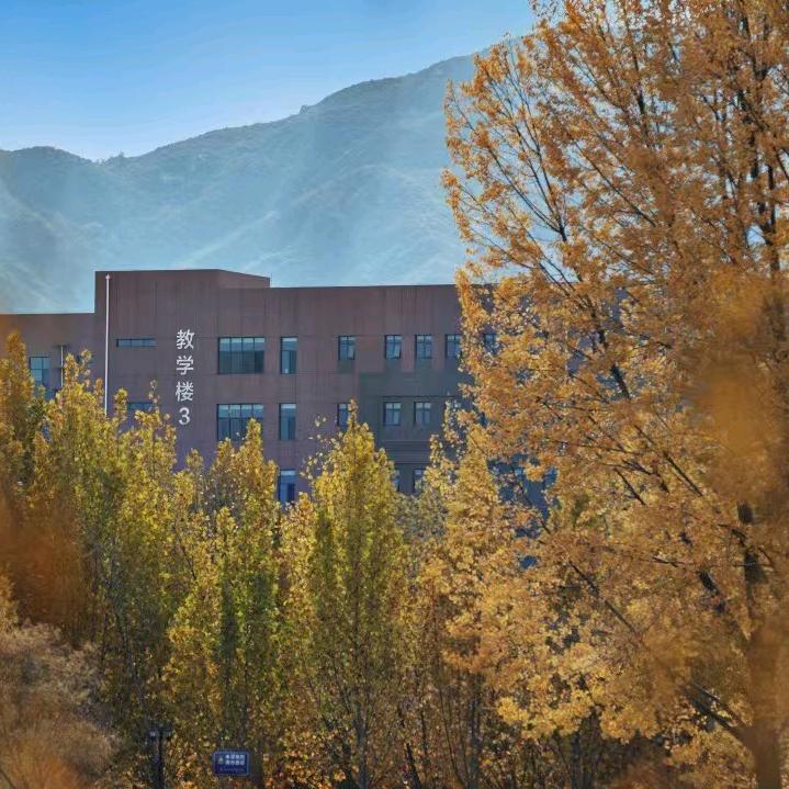 实战升学指导张老师