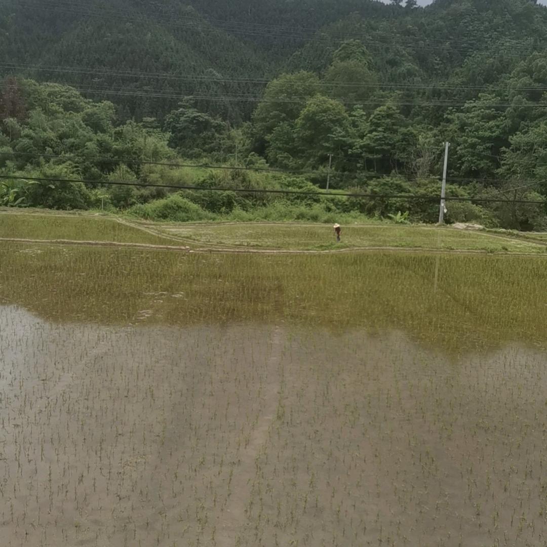 朱志勇