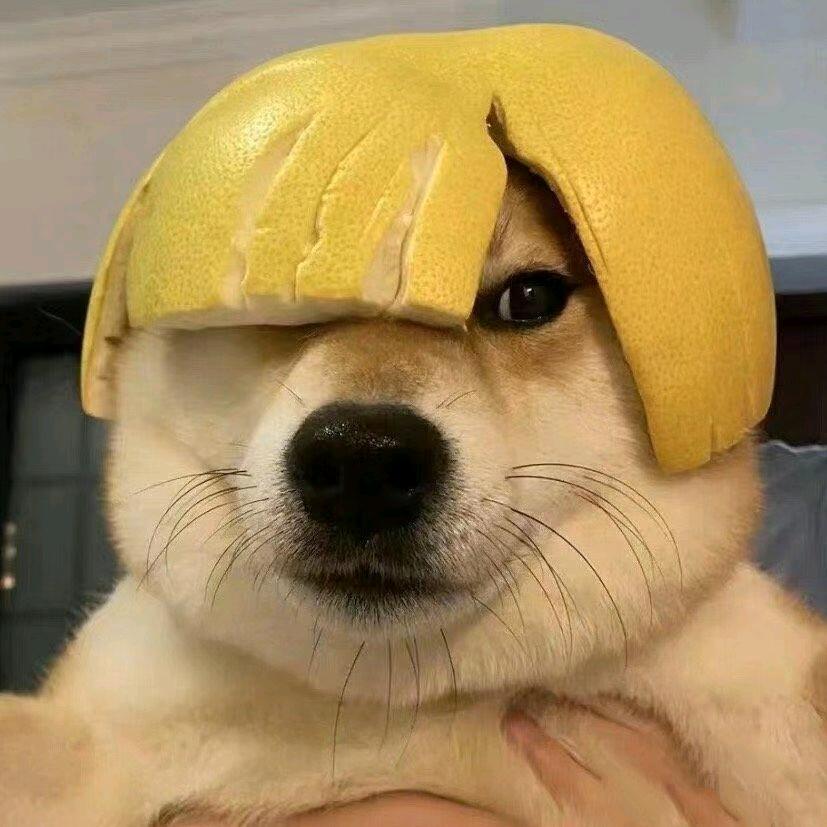 DNF手游(清风)
