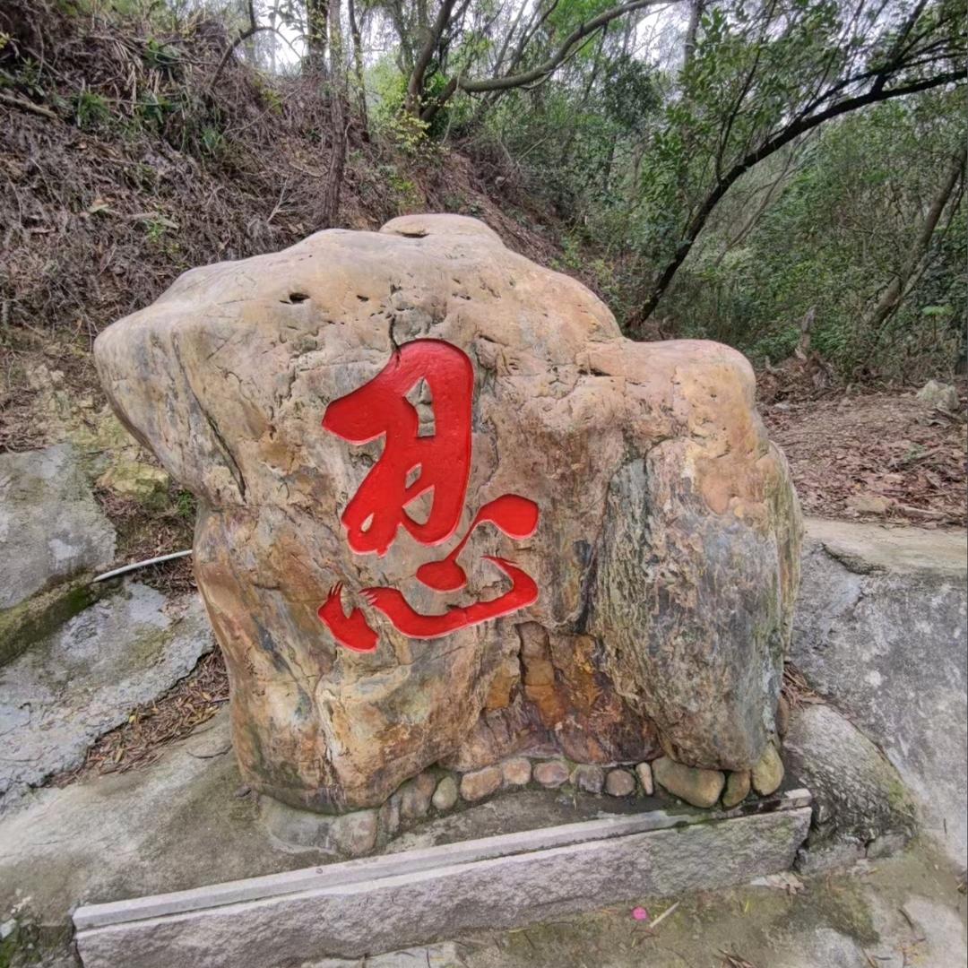 遥不可及的你 ʔ•̫͡•ʕ