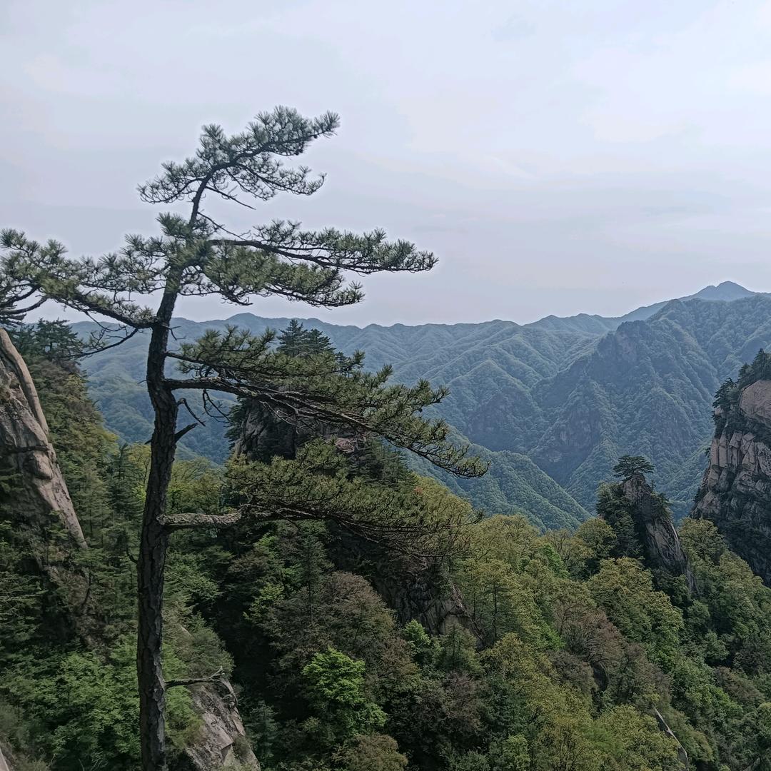 丨昌丨