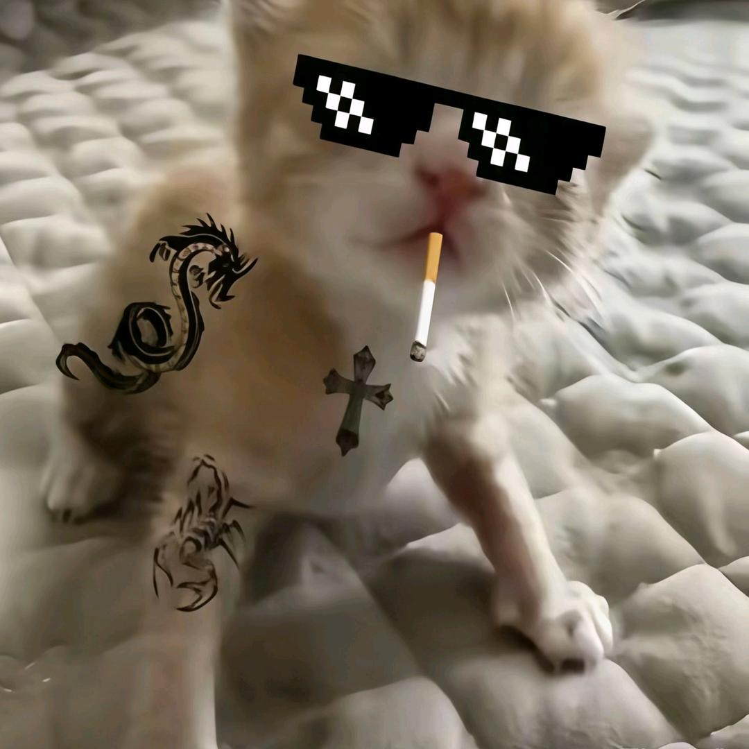 丰泽京
