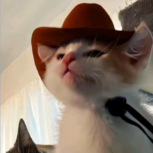 有病吧你。。。