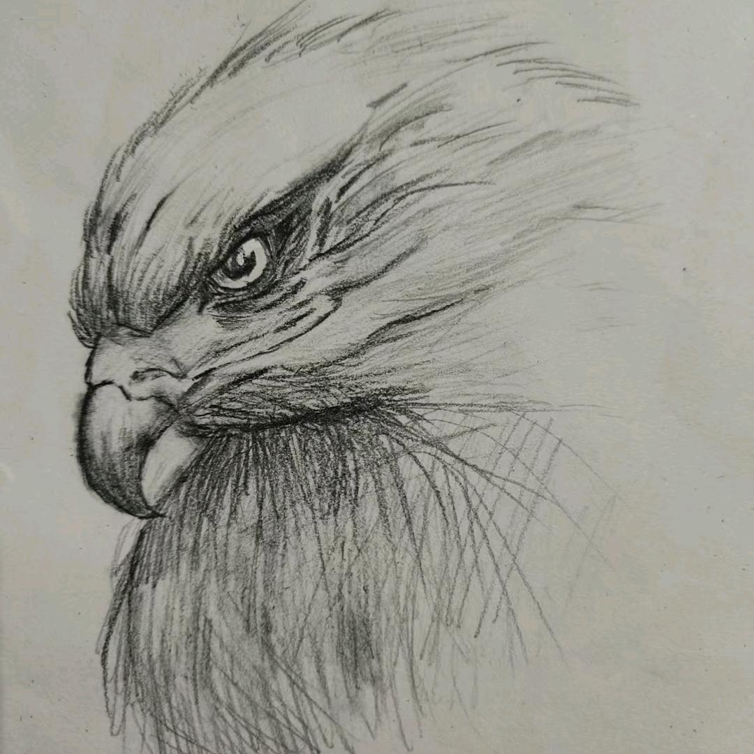 十四亿分之一～