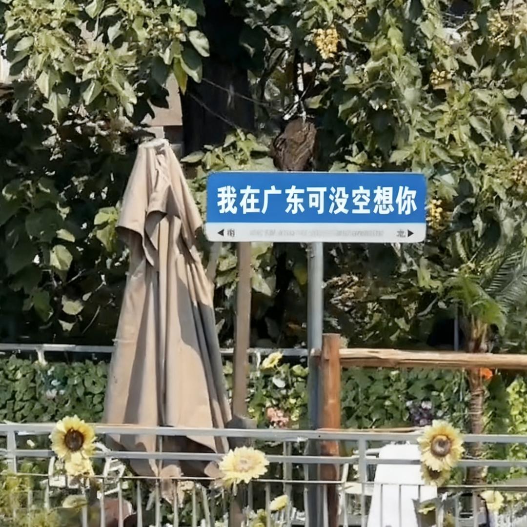 我真的没空跟你闹了