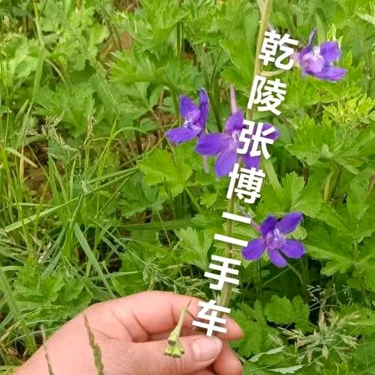 是我媳妇呗！