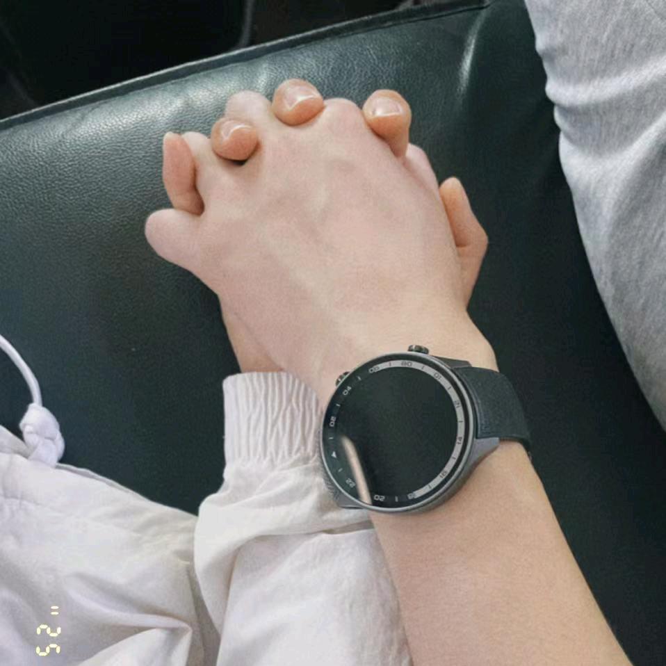 云云公主的杨骑士