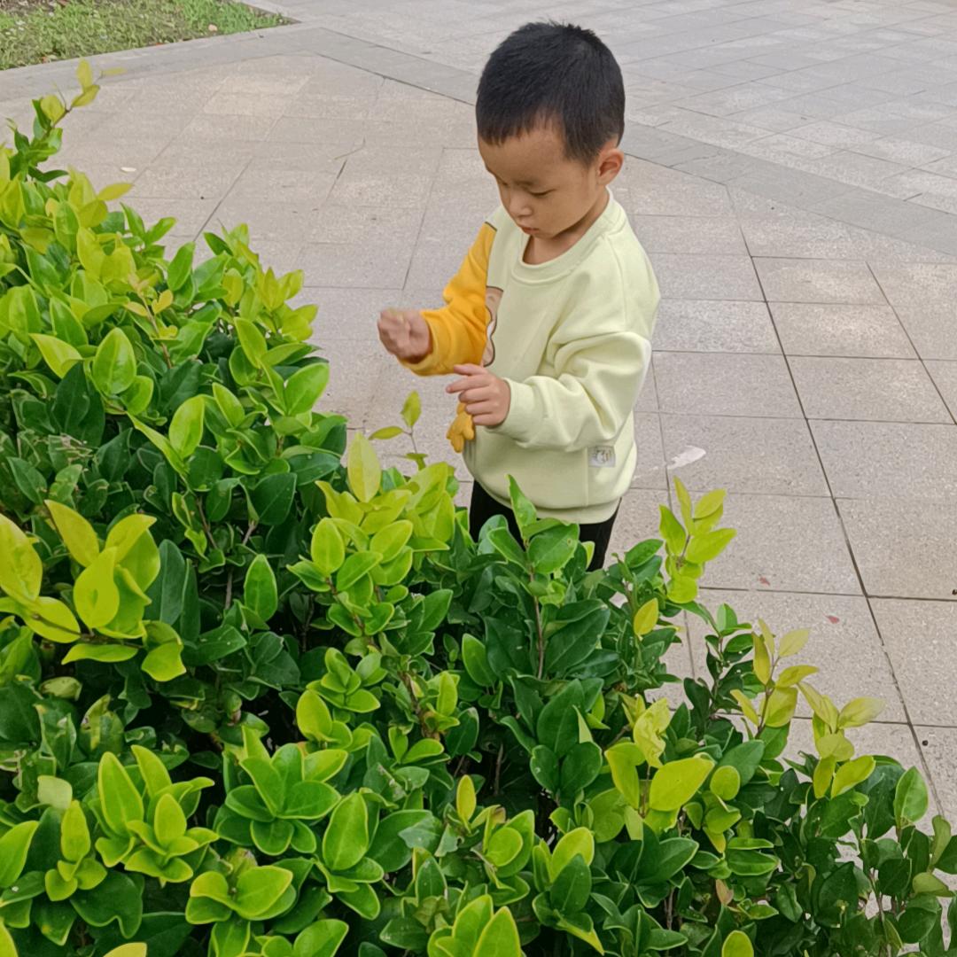 妹妹