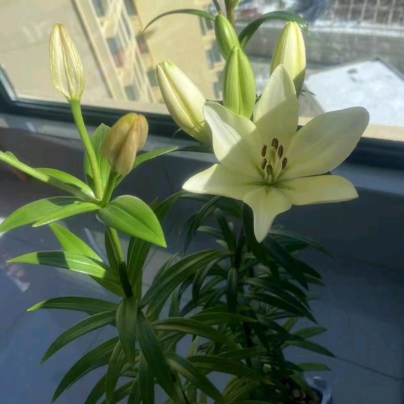 快乐源泉
