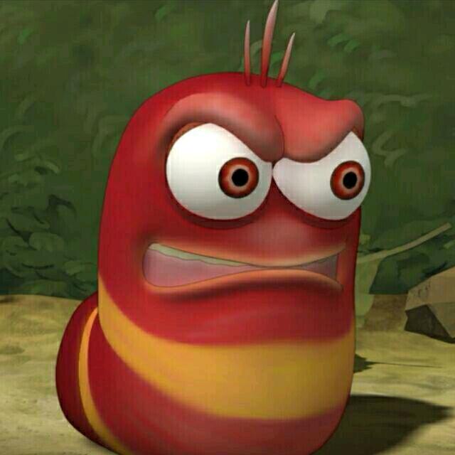 Larva