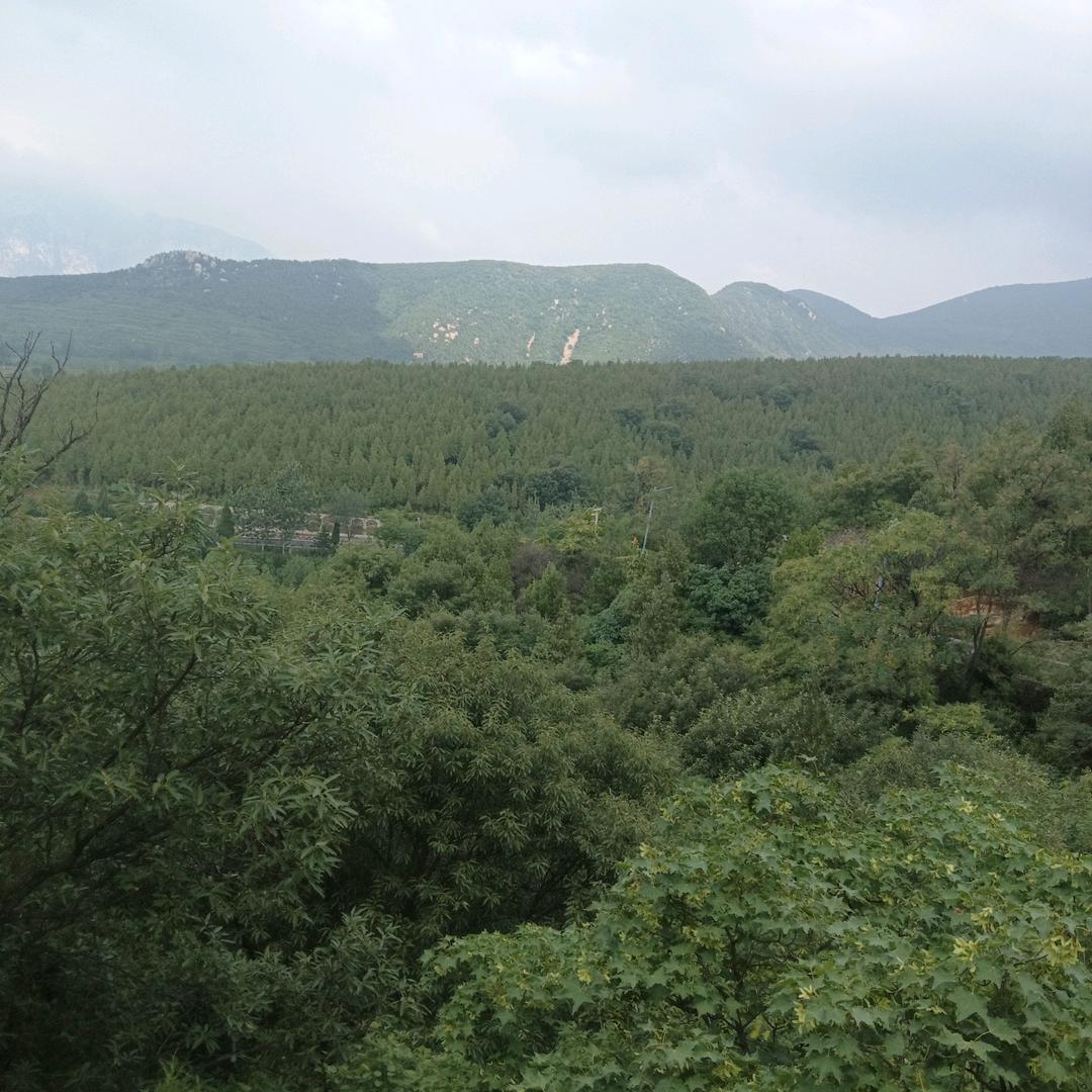水泥沙石料售后服务