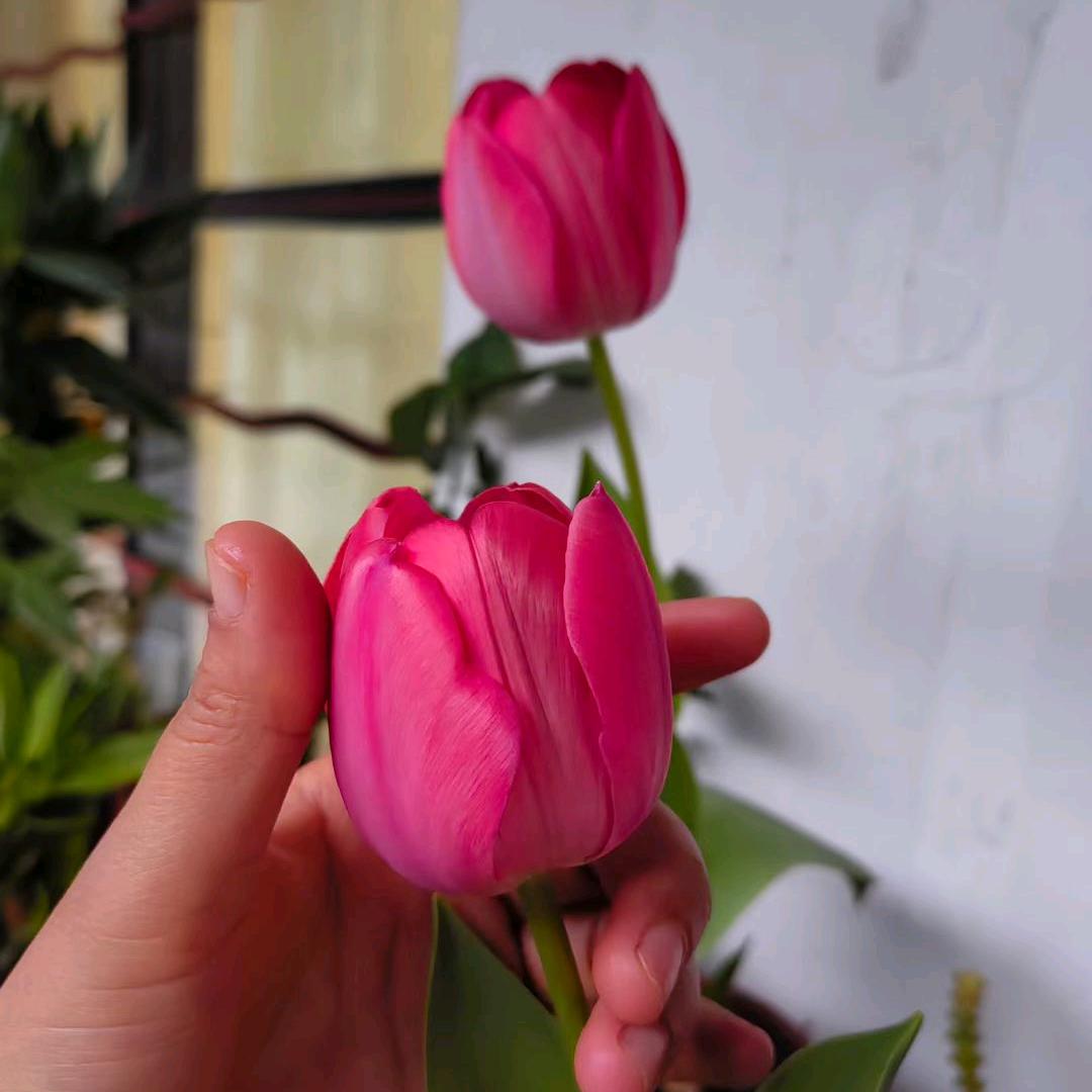 小少妇🤭