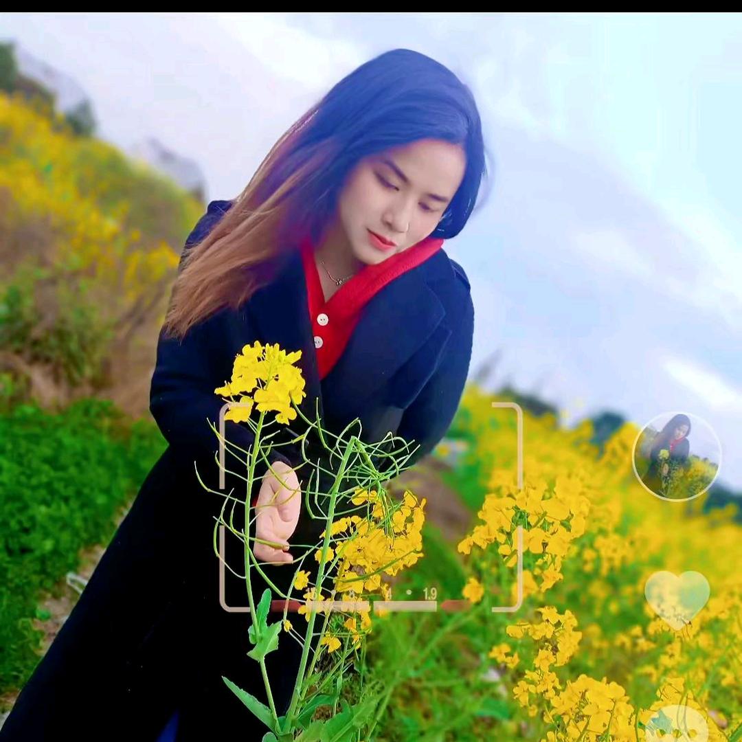周二妹