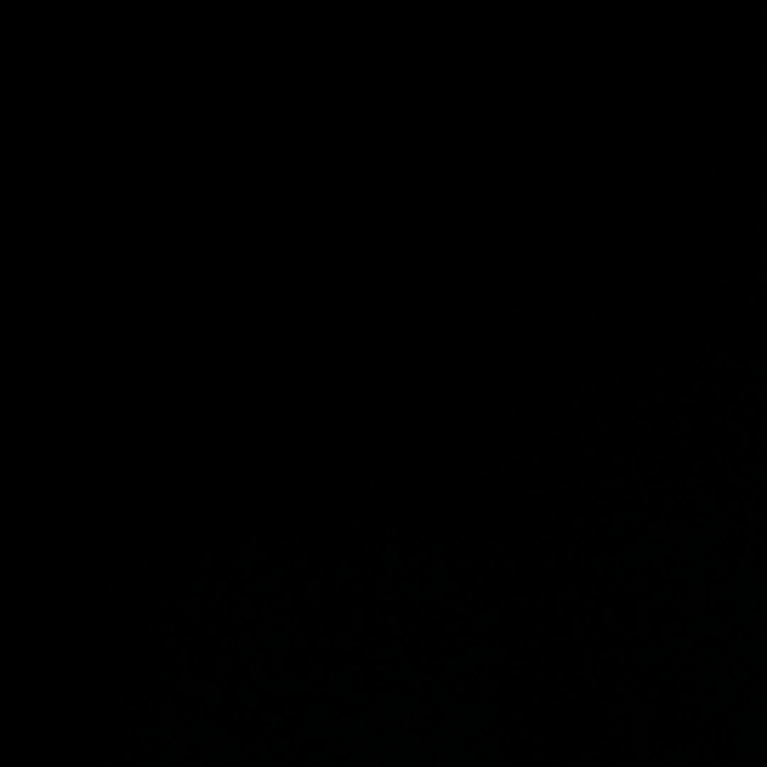 狗头₍˄·͈༝·͈˄*₎◞ ̑̑