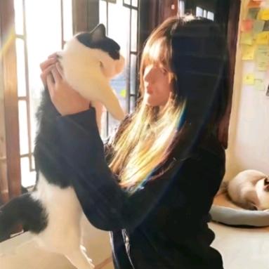 黑煤球球yu