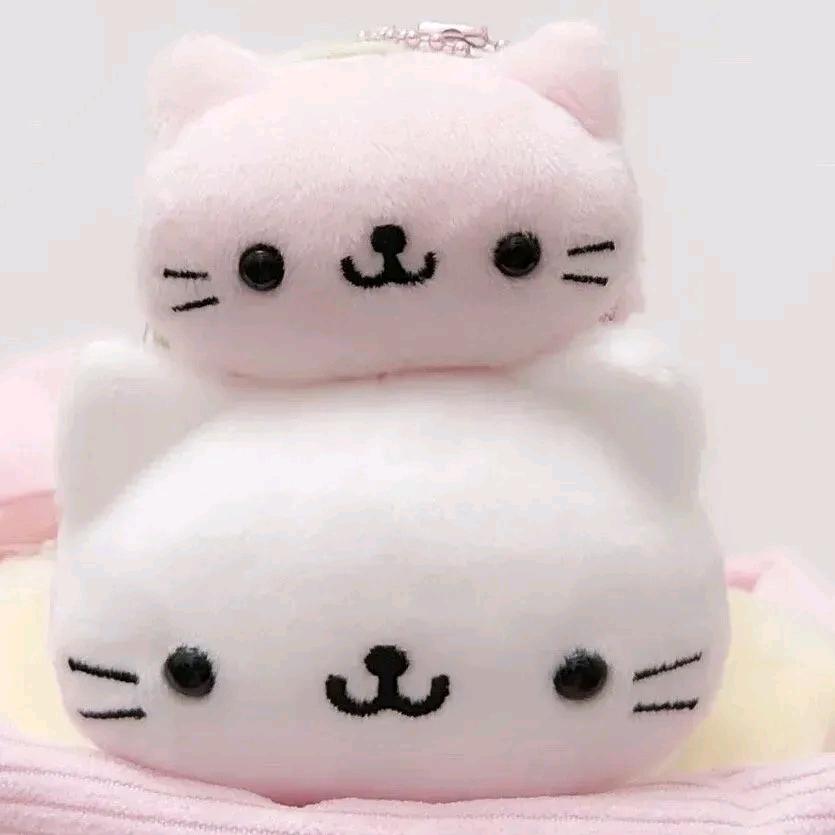 ᙏ̤̫反思自己不如责怪别人