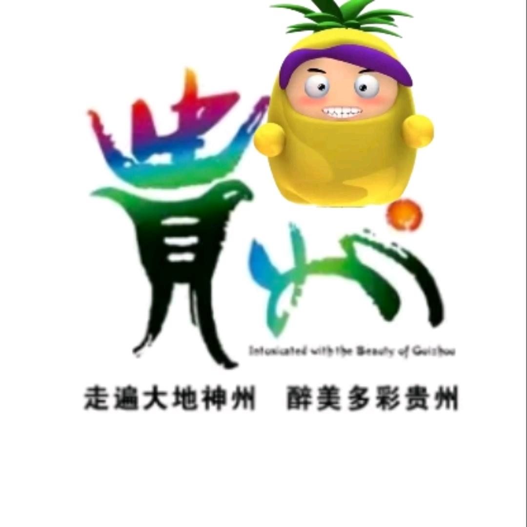 贵州菠萝旅游集团