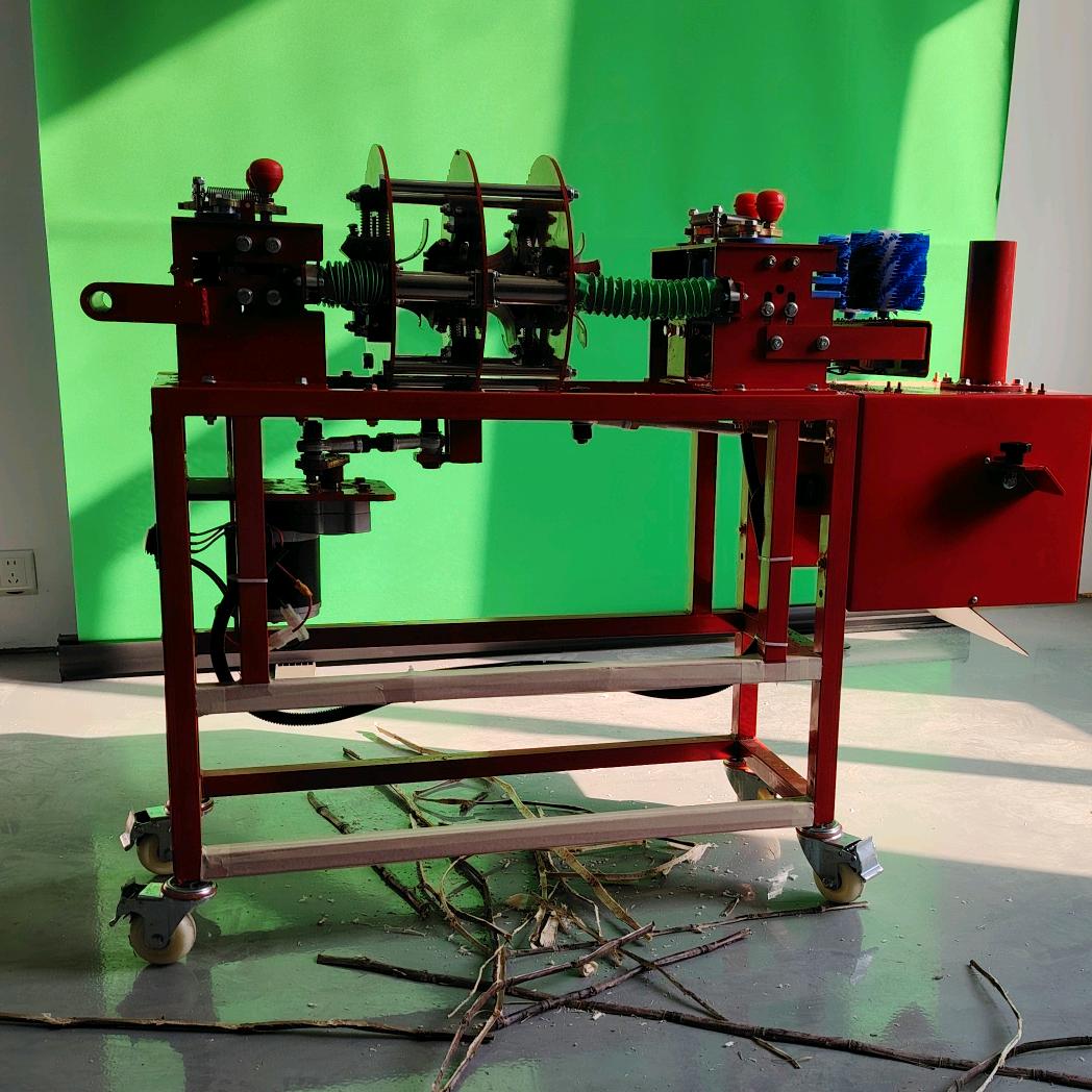 皖发w甘蔗削皮机