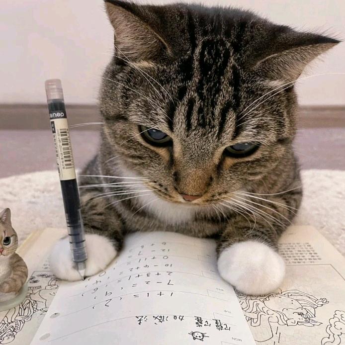 净月潭