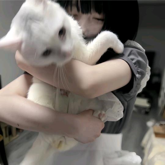 椿^（鸡柳大王版）