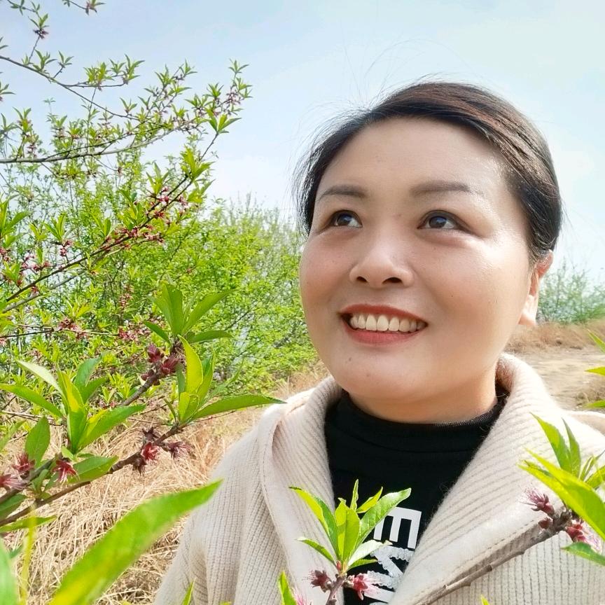 听风看景