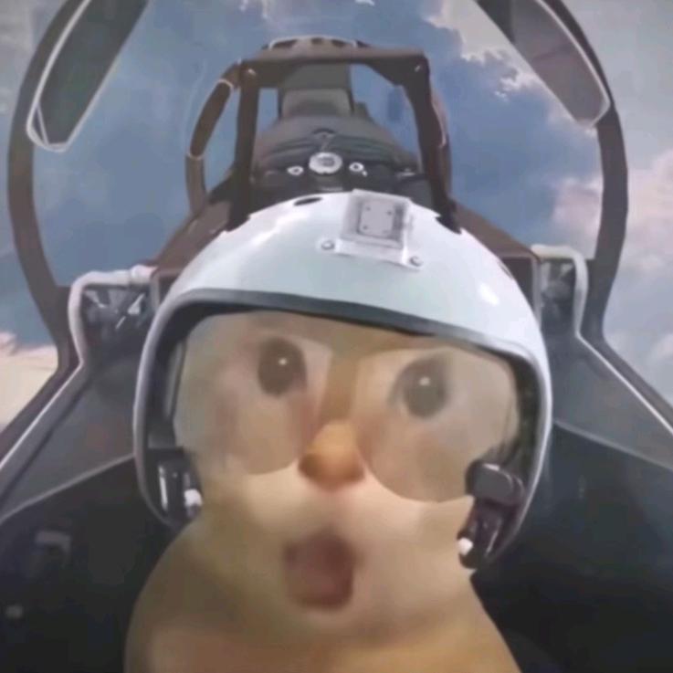 轩的（三角洲行动）