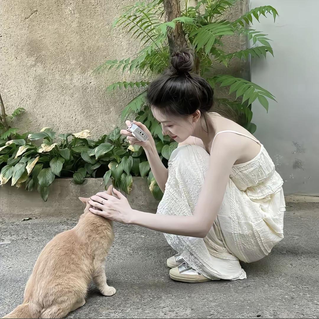 汪喵星球