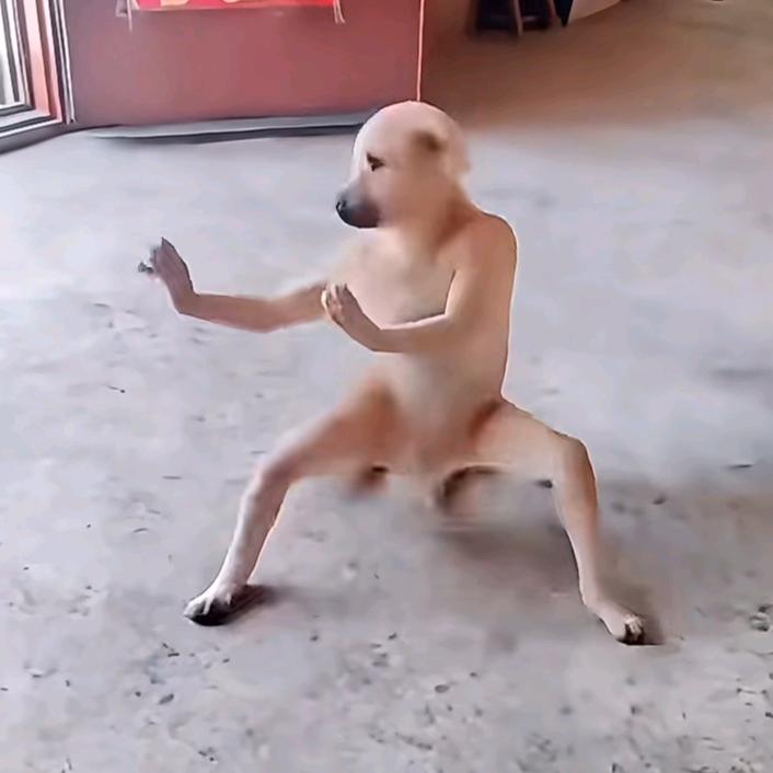 与你常乐