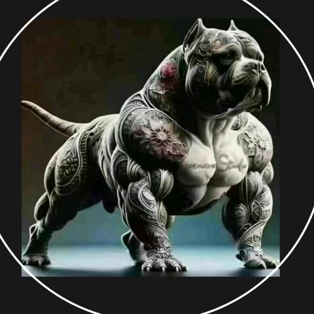 猎犬战队贾斌