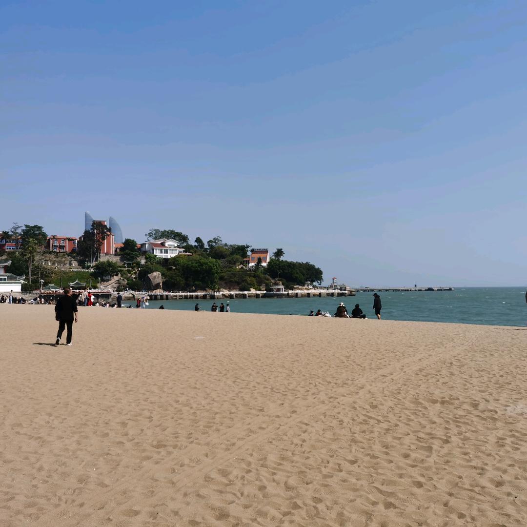 杨杨