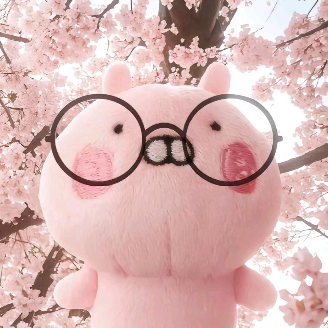 火鸡面就是世界上最好吃的东西