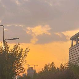 快乐一生，李子的日常