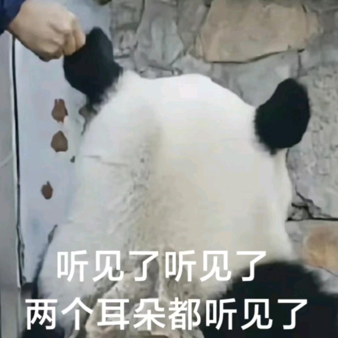 有点爱唱歌