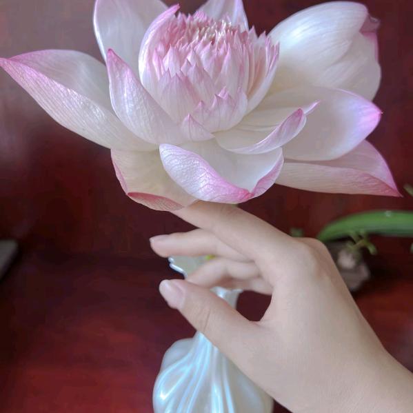 a木子李