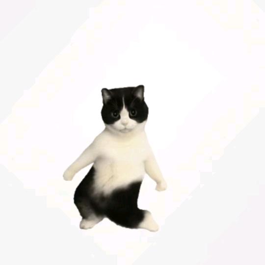 努力奋斗