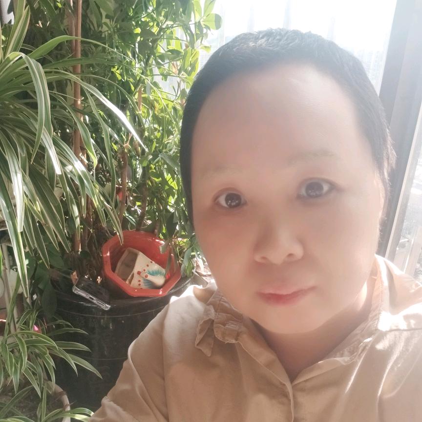 银光19:30开播