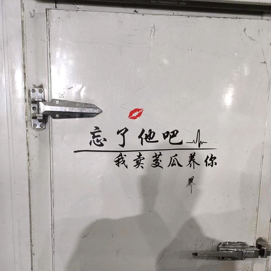浪荡骚年